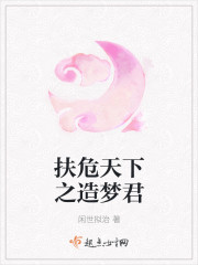 扶危天下之造梦君