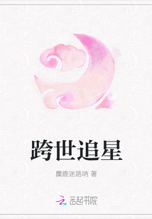 跨世追星