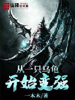 从一只乌龟开始变强