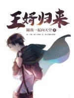盖世王婿