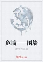 楚枫穆晚晴小说叫什么名字