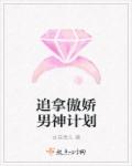 主人公叶无道的小说