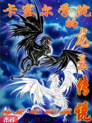 穿越山贼做皇帝