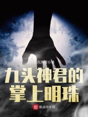 裴叶是哪部小说