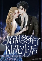始乱终弃了陆先生后