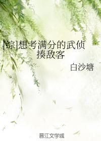 [综]想考满分的武侦揍敌客