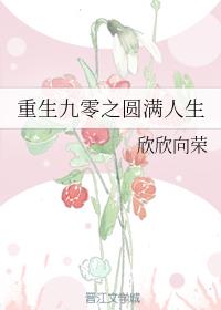 重生九零之圆满人生