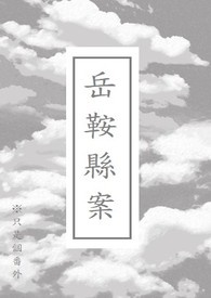 岳鞍县案