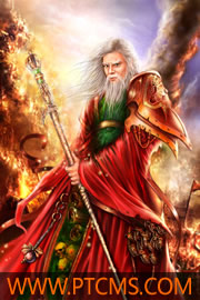 海贼之文虎大将