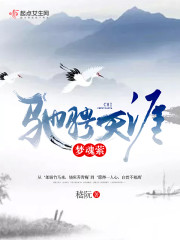 驰骋天涯梦魂萦