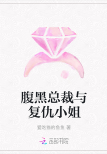 腹黑总裁与复仇小姐